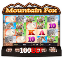 160bet